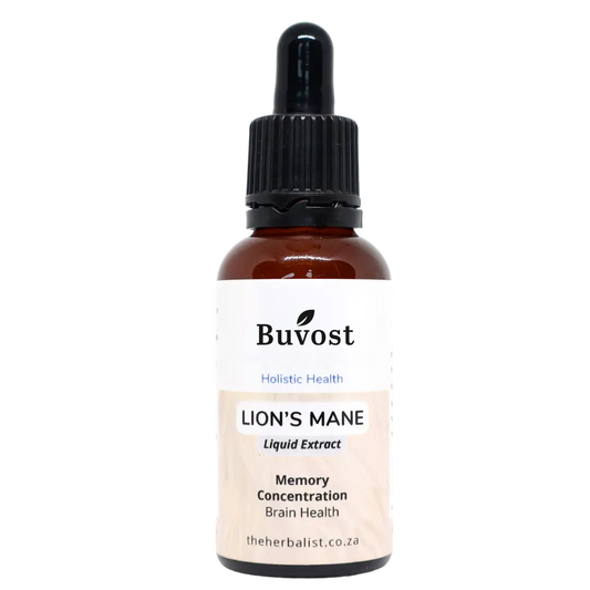 Lion's Mane Liquid Extract